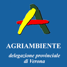 Attività svolta nel 2023